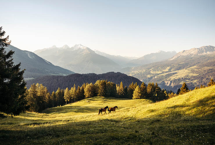 wandern lenzerheide guarda val