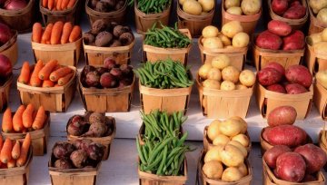 Bis wann gibt es Frühkartoffeln - Alles über die frische Knolle