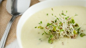 Apfel-Meerrettich-Suppe