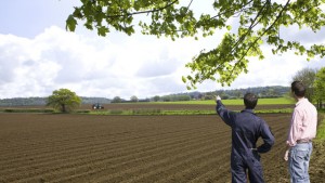 Mehr als eine Million Hektar Öko-Flächen in Deutschland